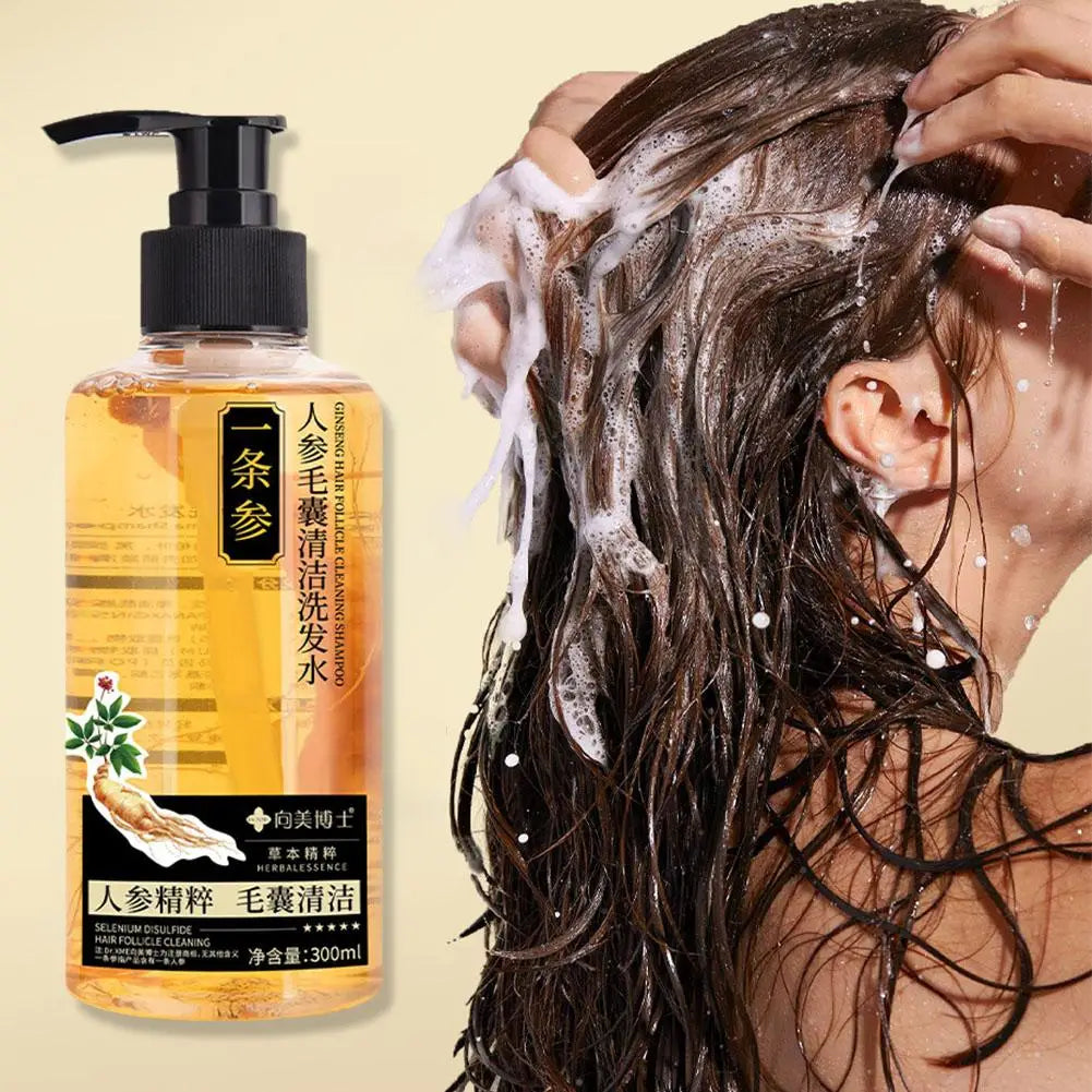 Ginger Shampoo for Anti Hair Loss Fast Growth Hair