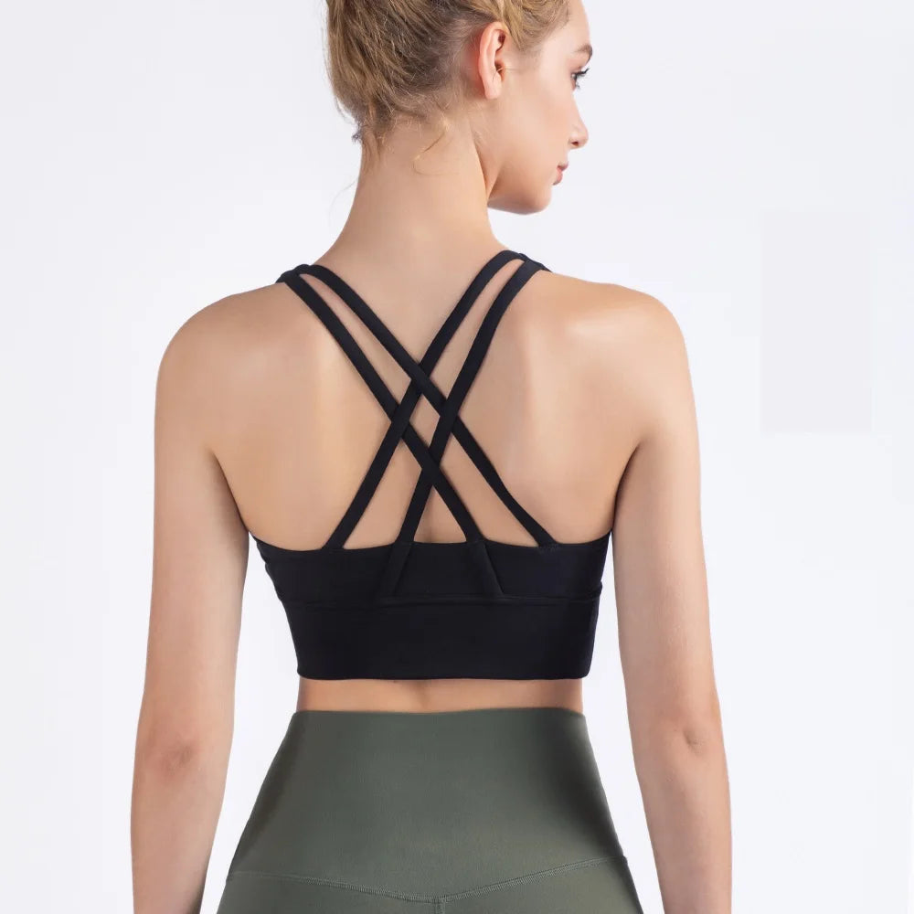 47741628711216|47741628776752|47741628842288