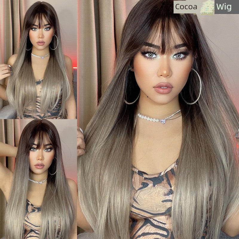 Fashion Brown Grey Long Straight Wig