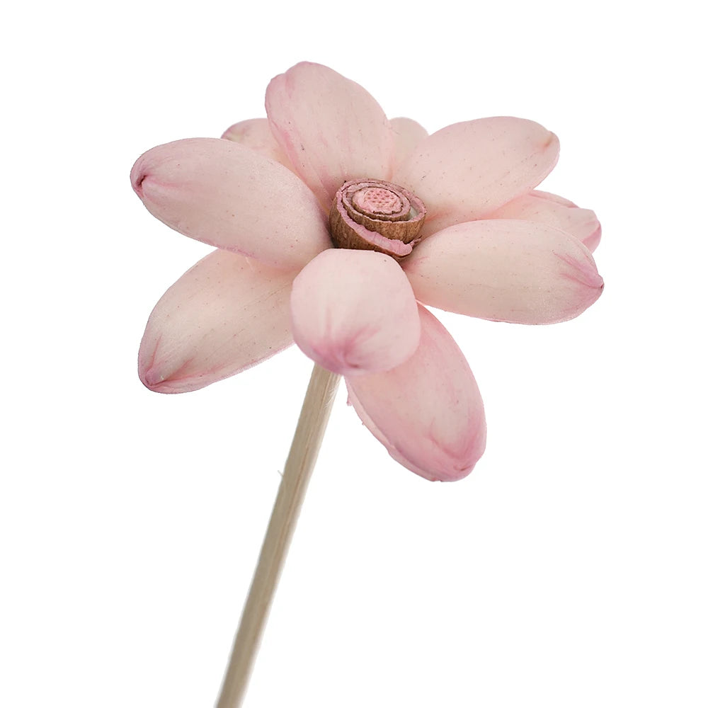 Pink Flowers Lotus Rattan Reed Diffuser Sticks