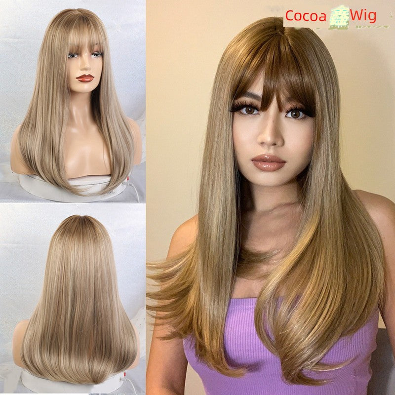 Fashion Brown Grey Long Straight Wig