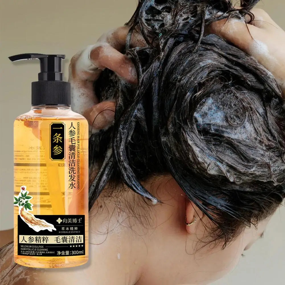 Ginger Shampoo for Anti Hair Loss Fast Growth Hair