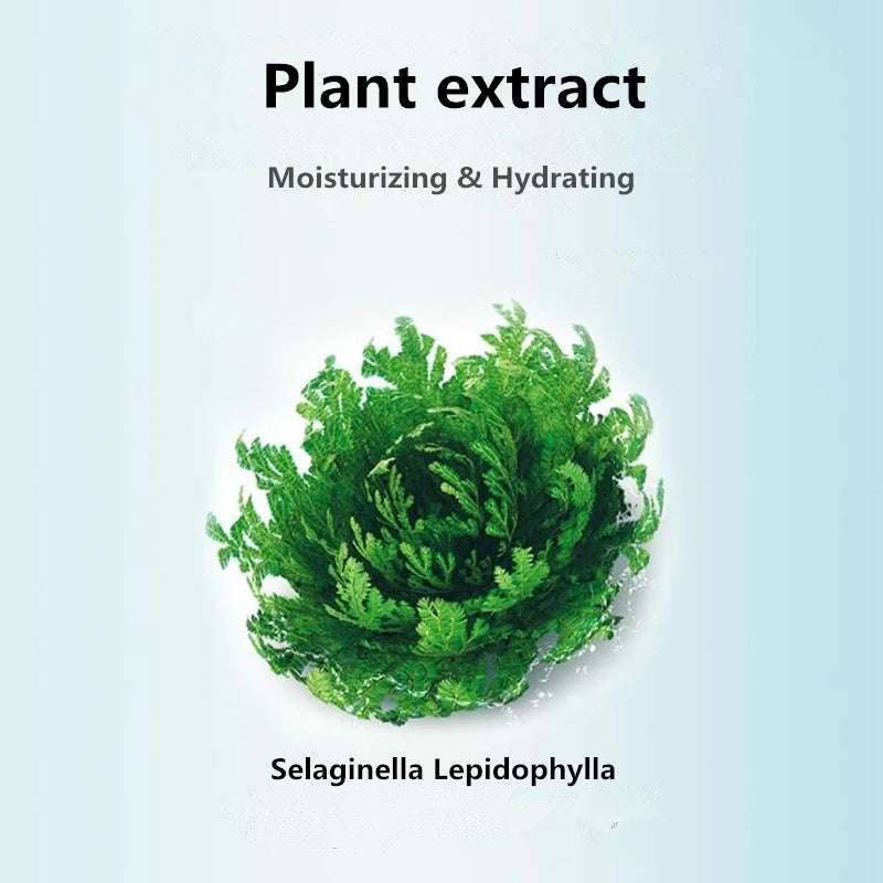 Women's Gift Skin Care Makeup Set