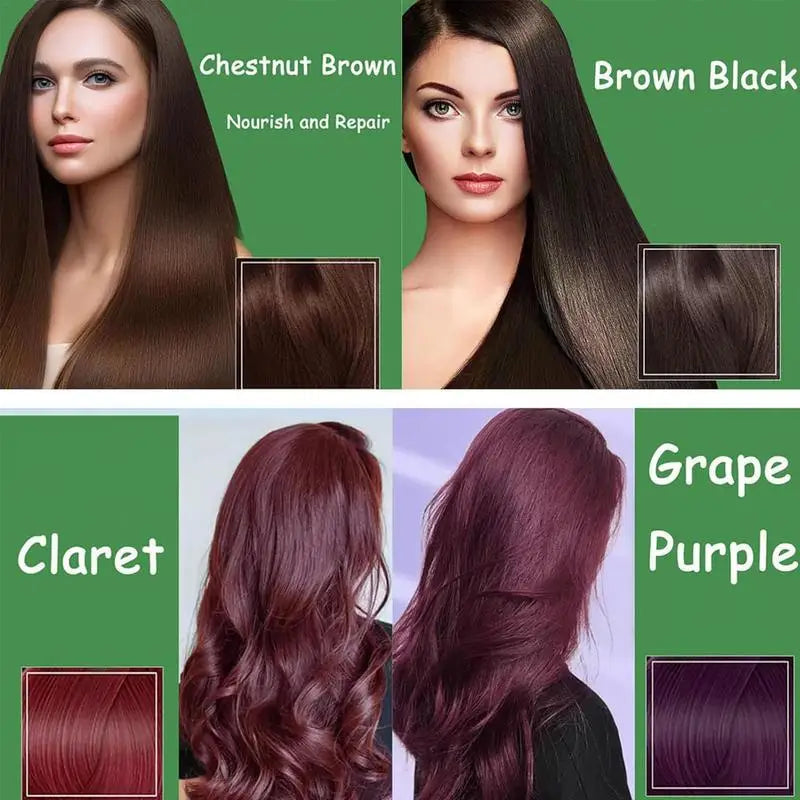 Multifunctional Black Hair Dye Coloring Shampoo