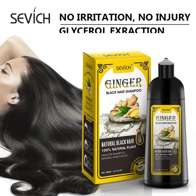 Black Hair Coloring Shampoo