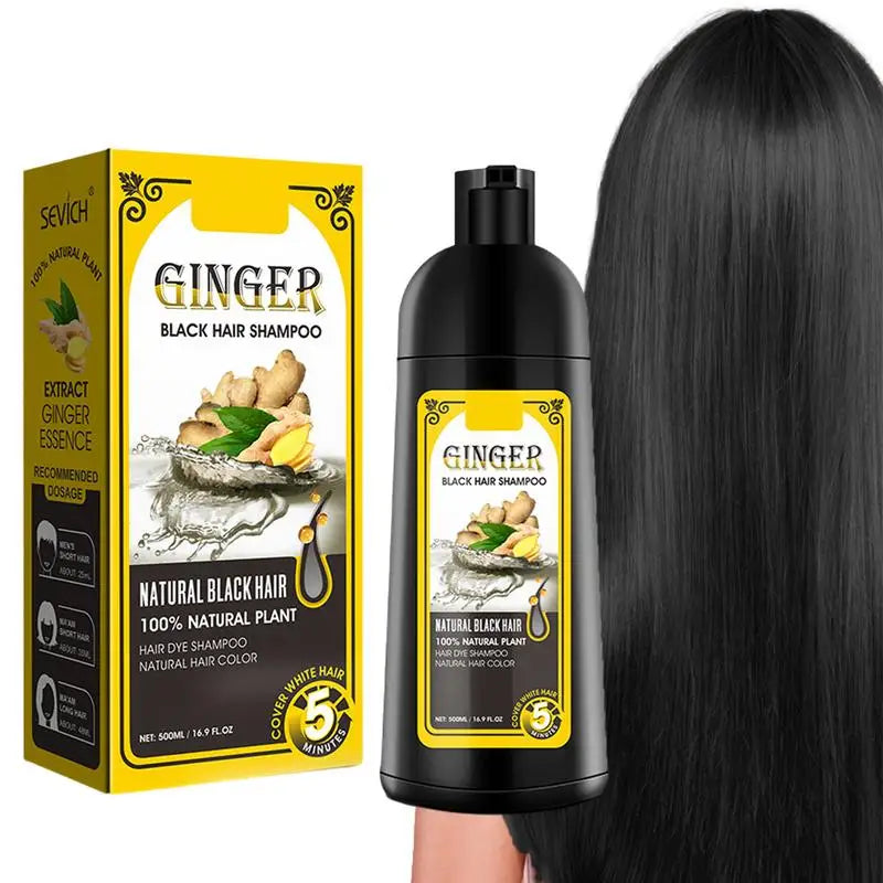 Black Hair Coloring Shampoo