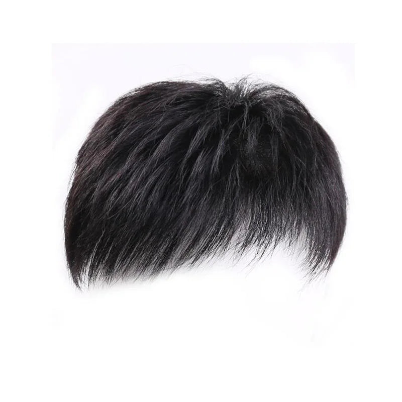 Wig patch for Men