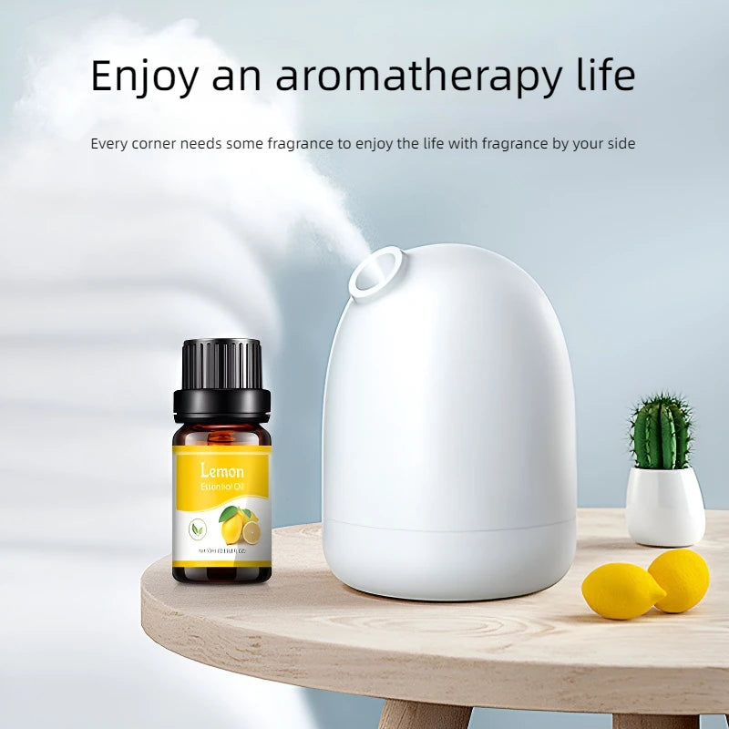 Aroma Diffuser Air Humidifier