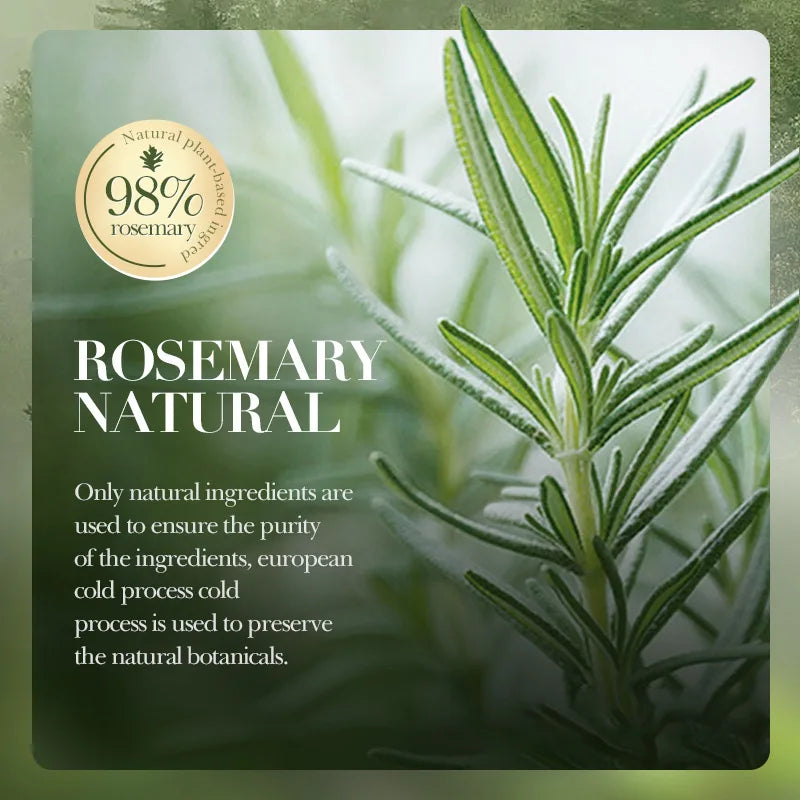 Anti-Dandruff Rosemary  Oil Control Shampoo