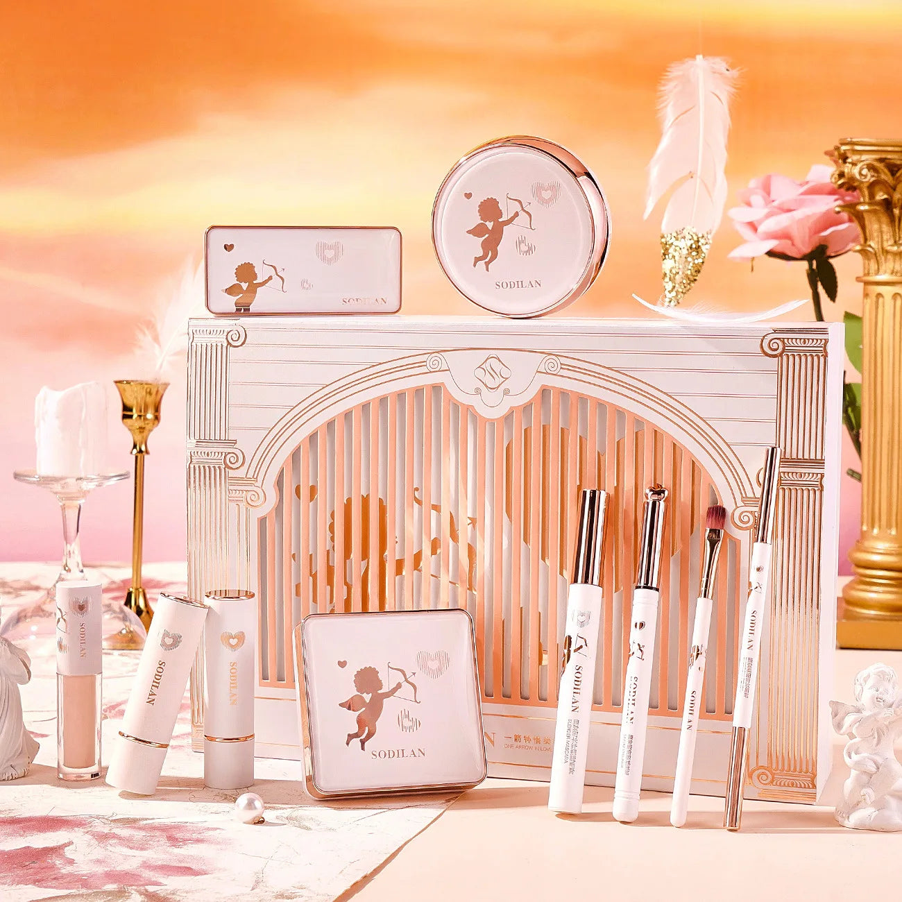 Professional Concealer Cushion BB Cream